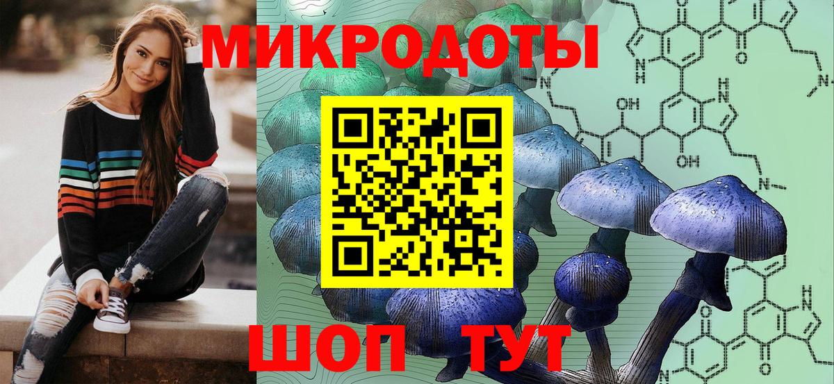 Горно-Алтайск  закладки  Вход с VPN  Галлюциногенные грибы мицелий 